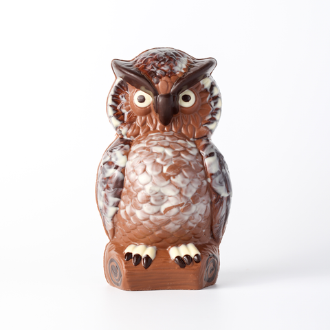 Owl - Collection Only