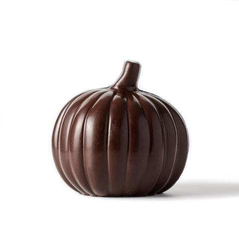 VEGAN FRIENDLY Chocolate Pumpkin